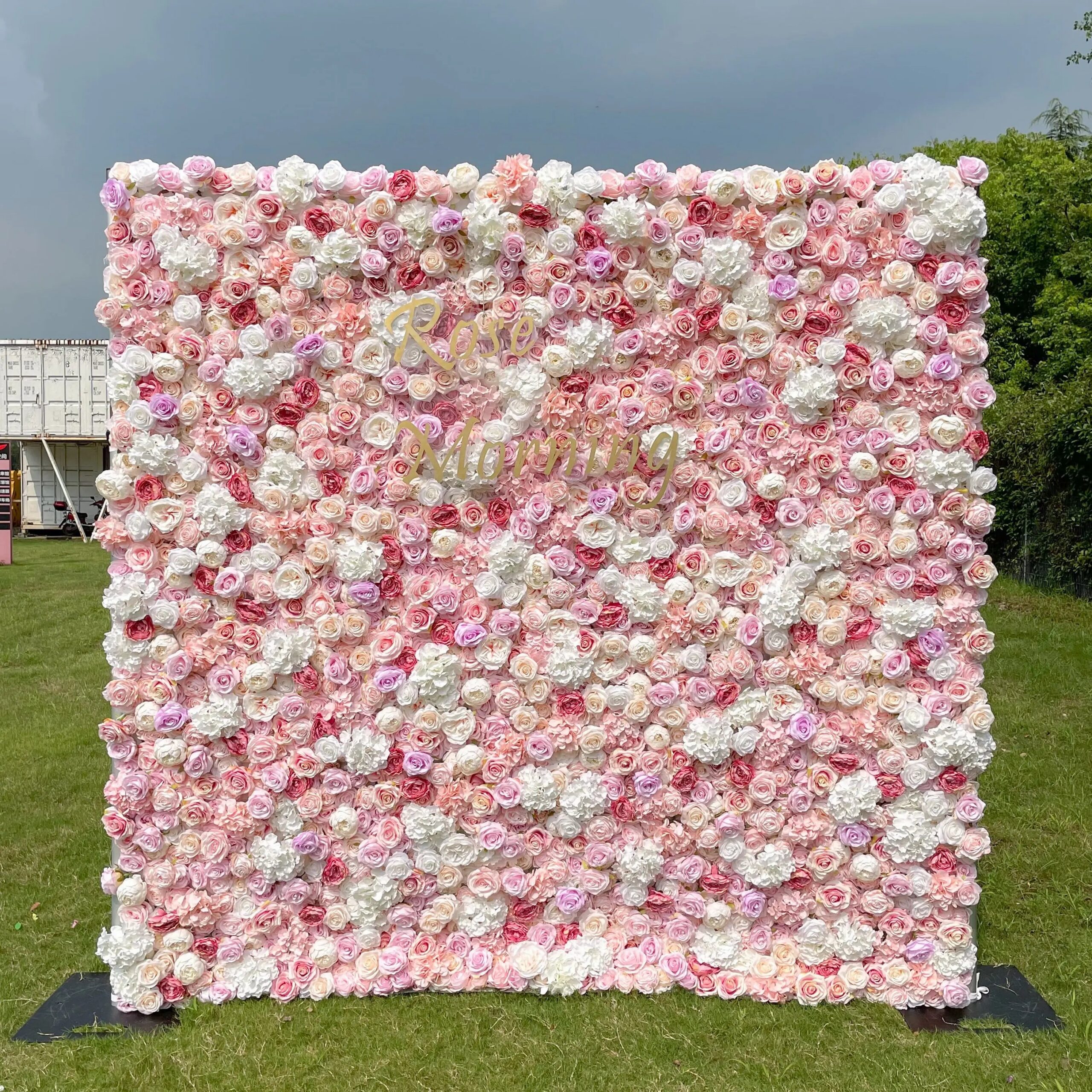 allan 3d fabric artificial rolling up curtain flower wall rose morning 27737752.jpg