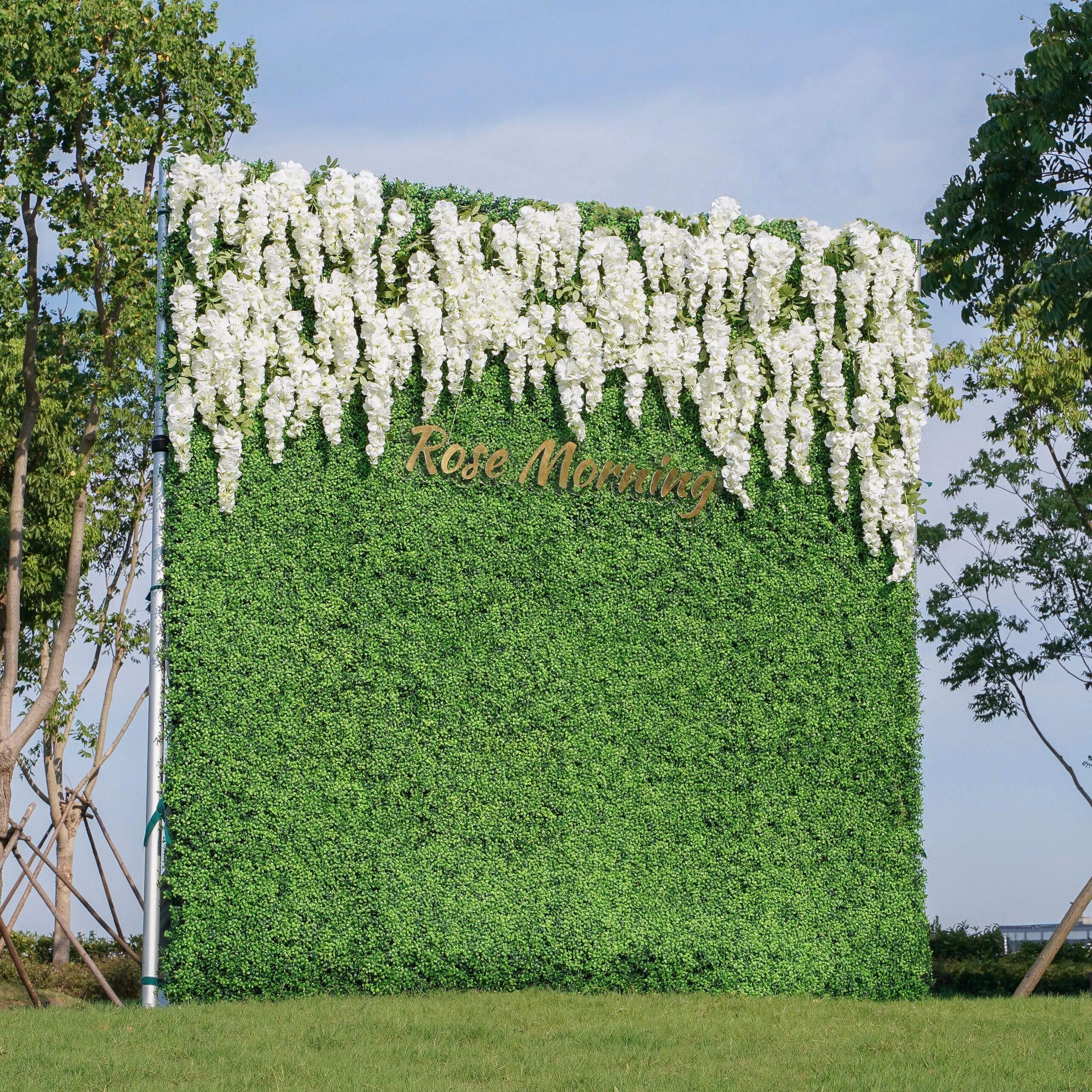 eling 2d fabric artificial rolling up curtain flower wall rose morning 27936682.jpg