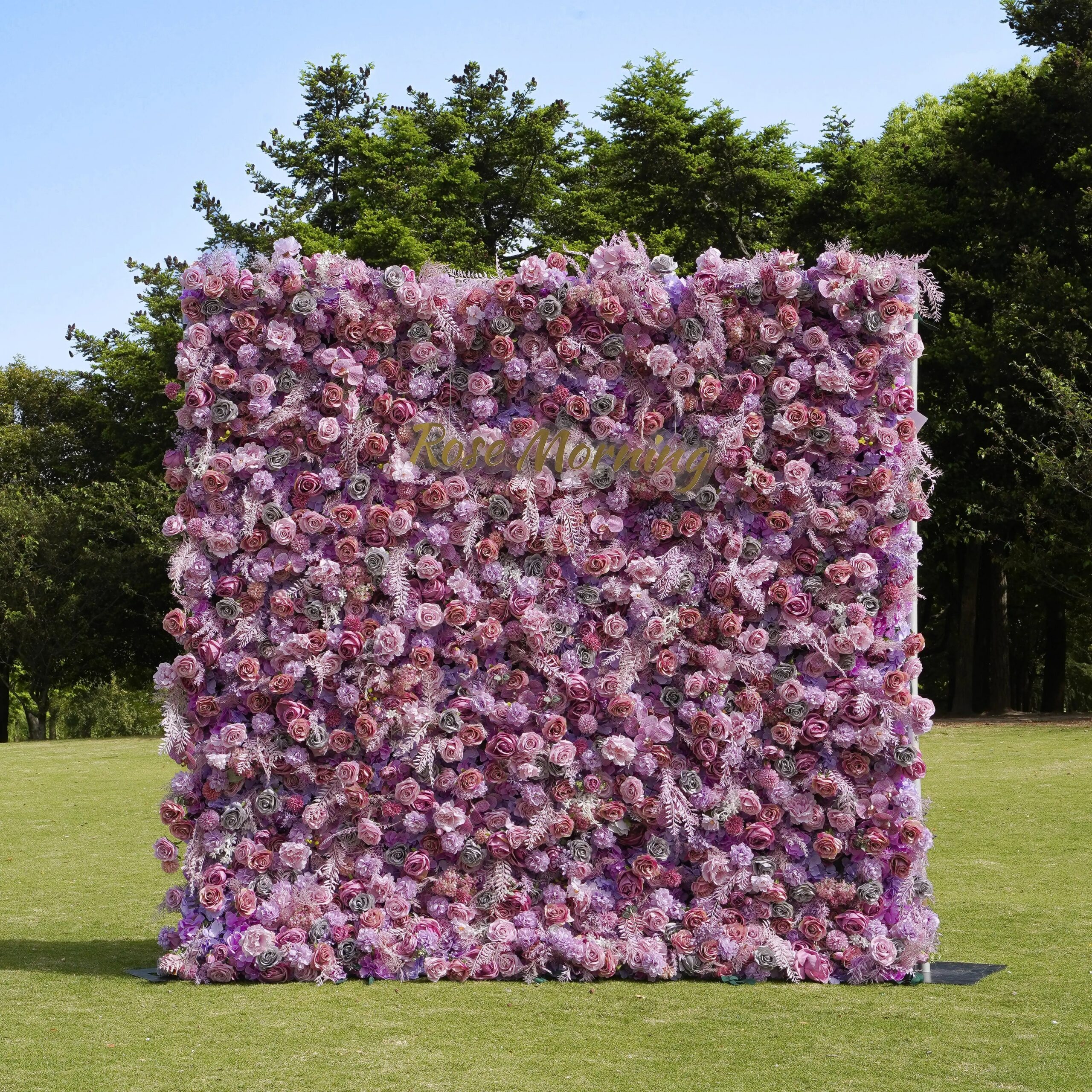 monica 5d fabric artificial rolling up curtain flower wall rose morning 27261828.jpg