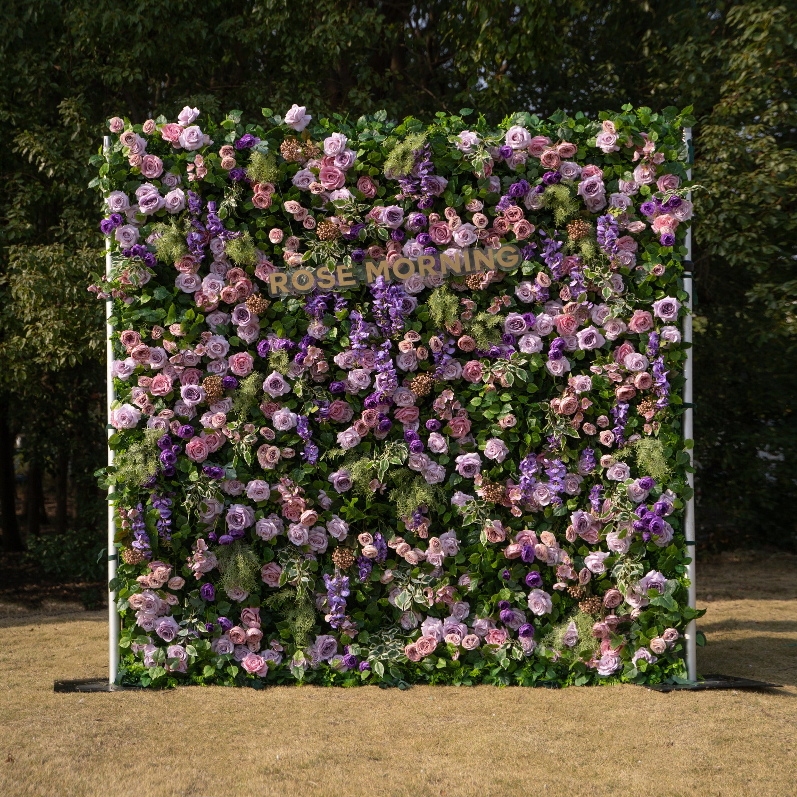 morado 1.jpg