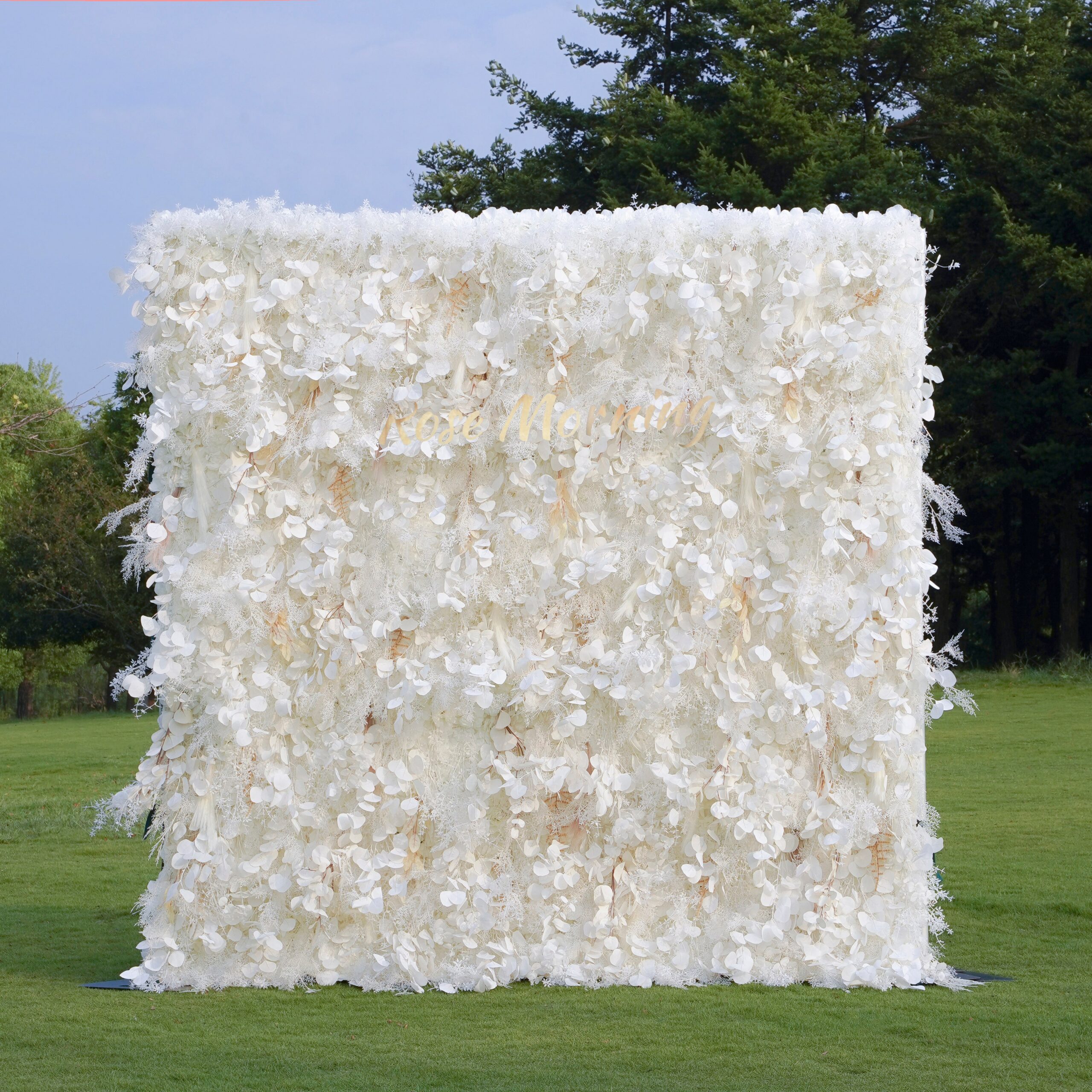 pampas 1 4a6ac78e cf66 4d91 bdee 36ee10bc0f5e.jpg